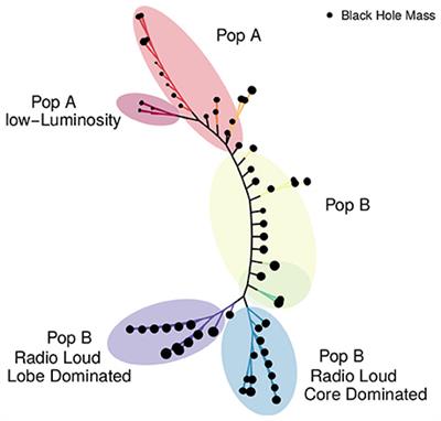 Phylogenetic Analyses of Quasars and Galaxies